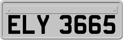 ELY3665