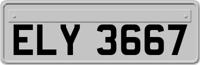ELY3667