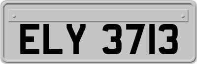 ELY3713