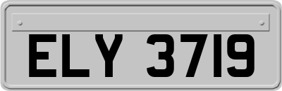 ELY3719