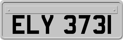 ELY3731