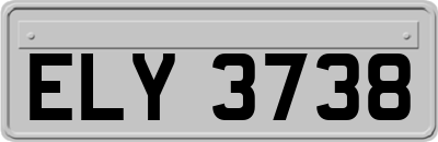ELY3738