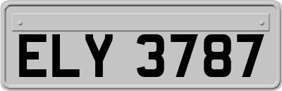 ELY3787