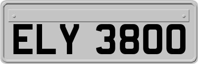 ELY3800