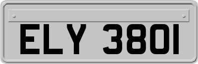 ELY3801