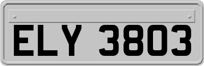 ELY3803