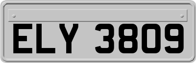 ELY3809