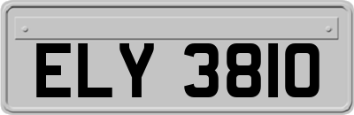 ELY3810