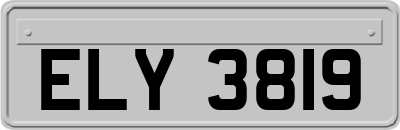 ELY3819