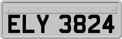 ELY3824