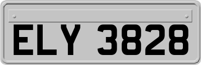ELY3828