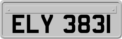 ELY3831