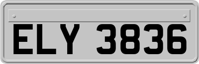 ELY3836