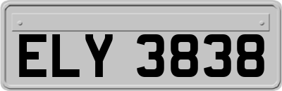 ELY3838