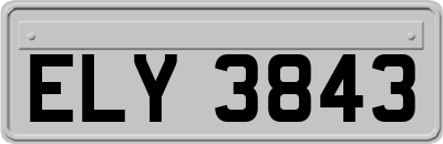 ELY3843