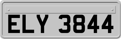 ELY3844
