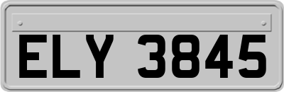 ELY3845