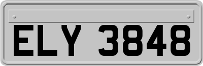 ELY3848