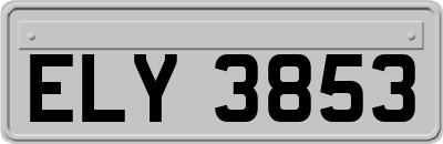ELY3853