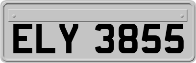 ELY3855