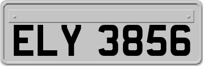 ELY3856