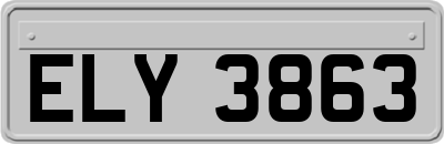 ELY3863