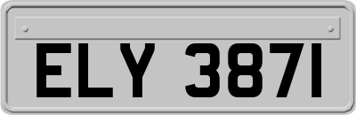 ELY3871