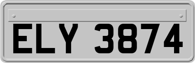 ELY3874