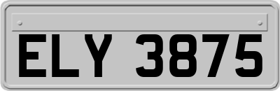 ELY3875