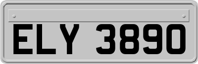 ELY3890