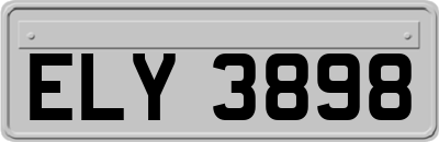 ELY3898