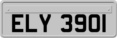 ELY3901