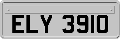 ELY3910
