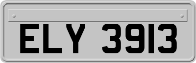 ELY3913