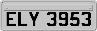 ELY3953