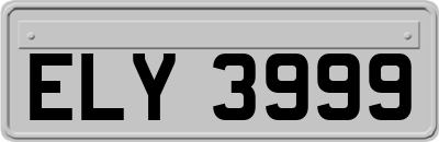 ELY3999