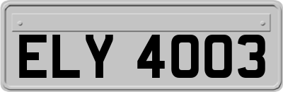 ELY4003