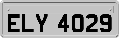 ELY4029