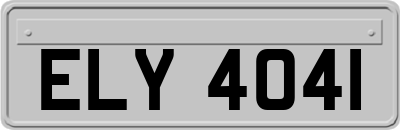 ELY4041