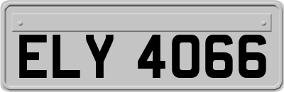 ELY4066