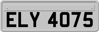 ELY4075
