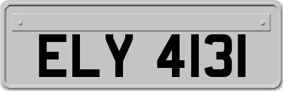 ELY4131