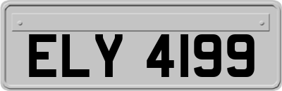 ELY4199