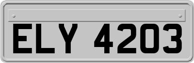 ELY4203