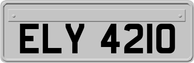 ELY4210