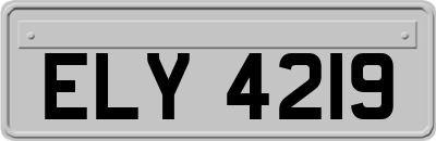 ELY4219