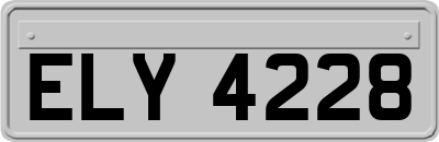 ELY4228