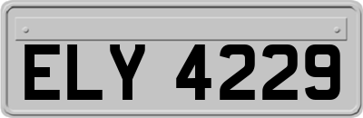 ELY4229