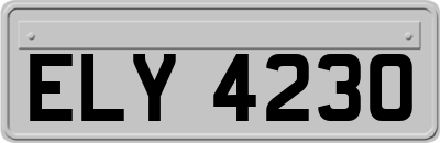 ELY4230