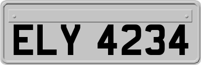 ELY4234